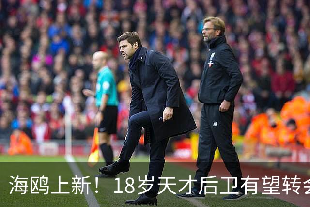 海鸥上新！18岁天才后卫有望转会英格兰，天赋顶级布莱顿要买