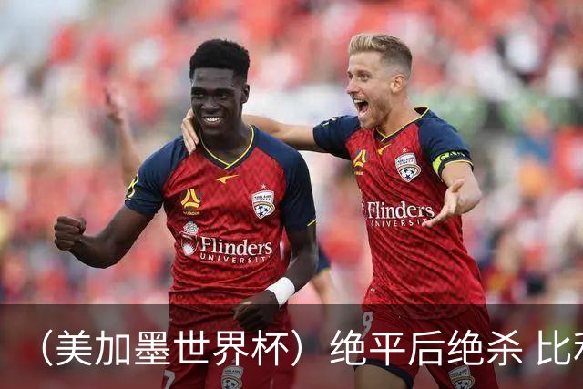 （美加墨世界杯）绝平后绝杀 比利时队3:2逆转塞内加尔队晋级